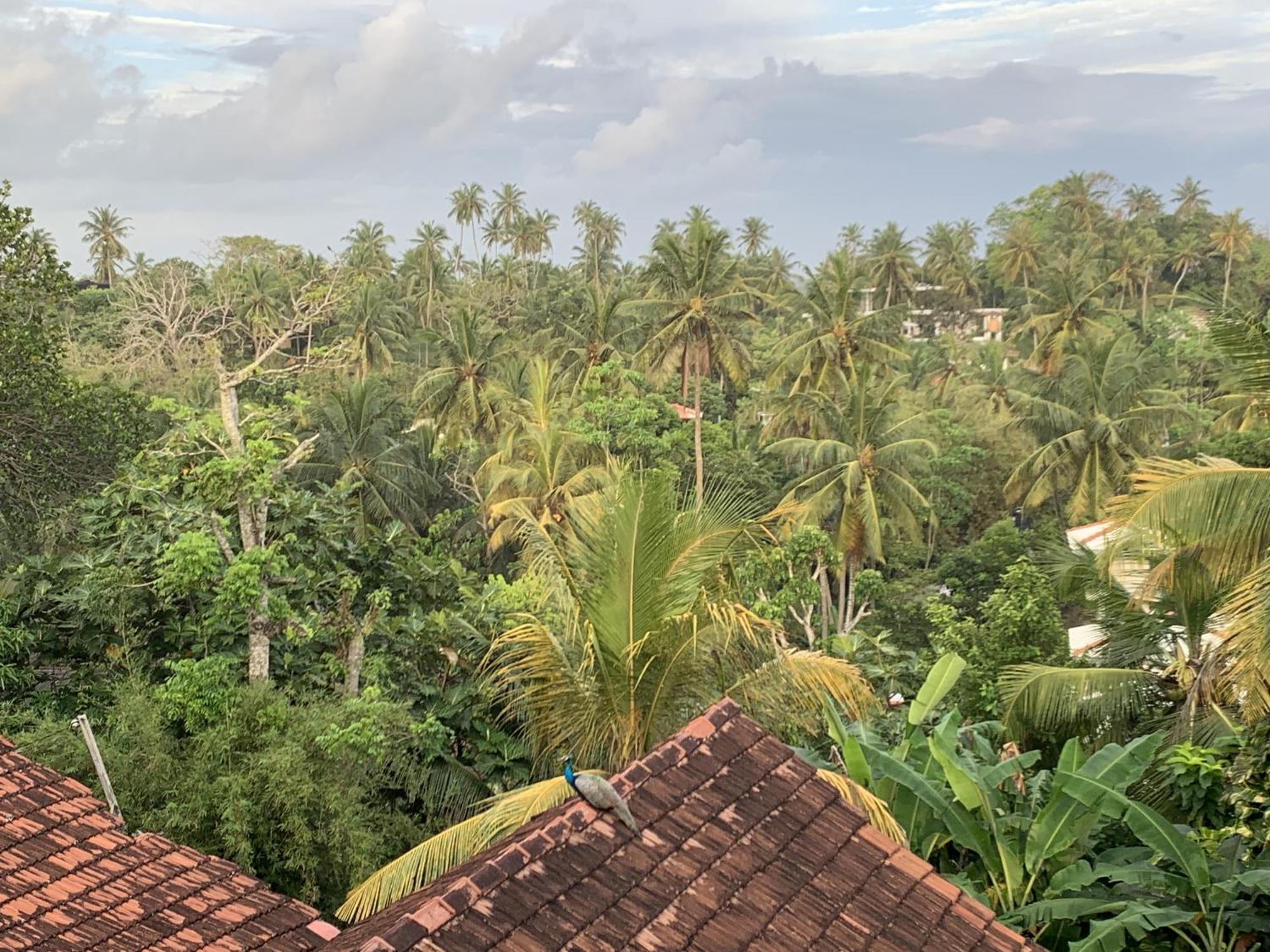 Arcadia Ocean View Unawatuna Exterior foto